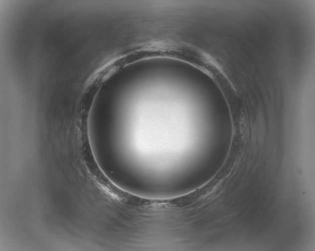 X0000080681304200612151212