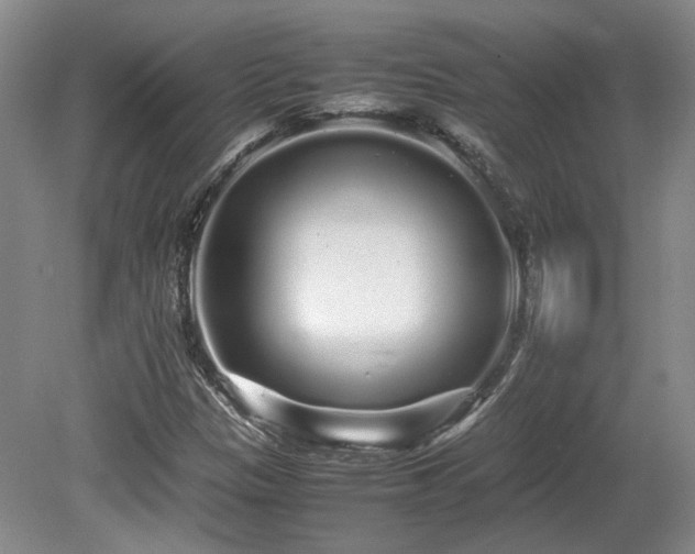 X0000080681305200612151212