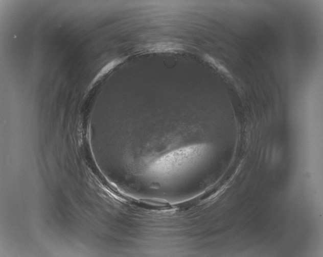 X0000080681306200612151212