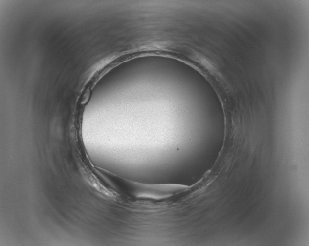 X0000080681308200612151212