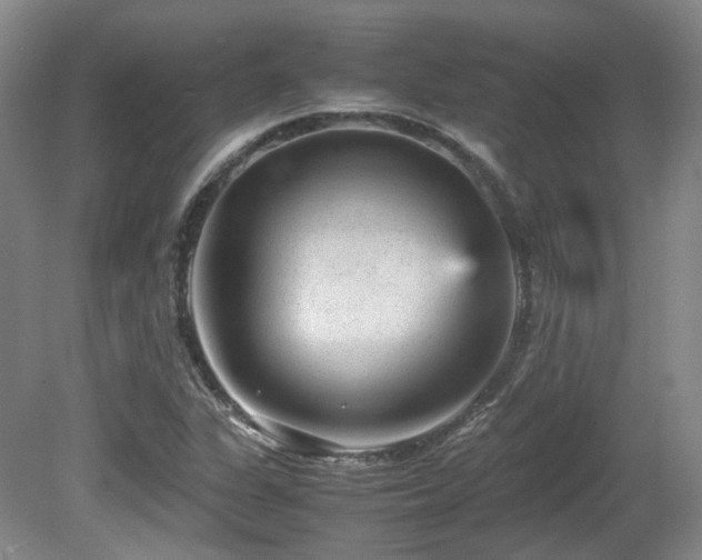 X0000080681311200612151212