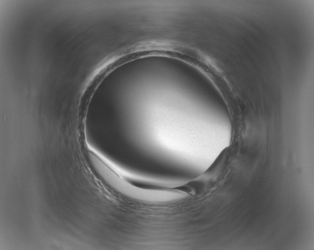 X0000080681312200612151212