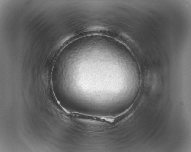 X0000080681313200612151212