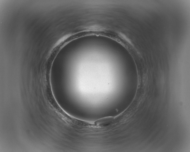 X0000080681315200612151212