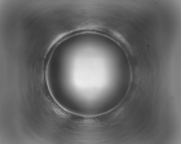 X0000080681316200612151212