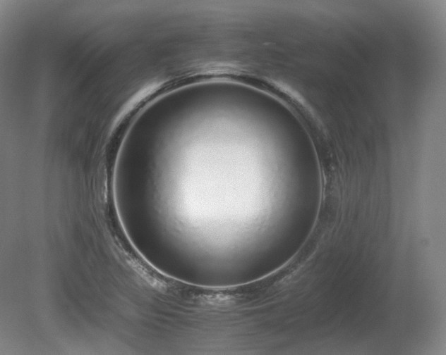 X0000080681317200612151212