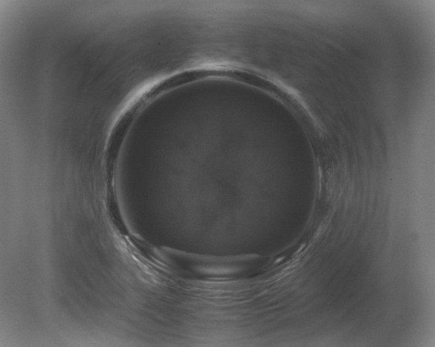 X0000080681319200612151212