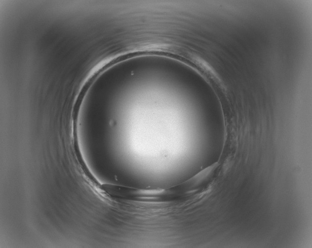 X0000080681324200612151213
