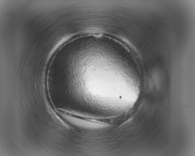 X0000080681325200612151213