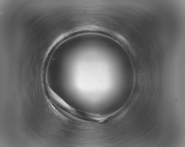 X0000080681326200612151213