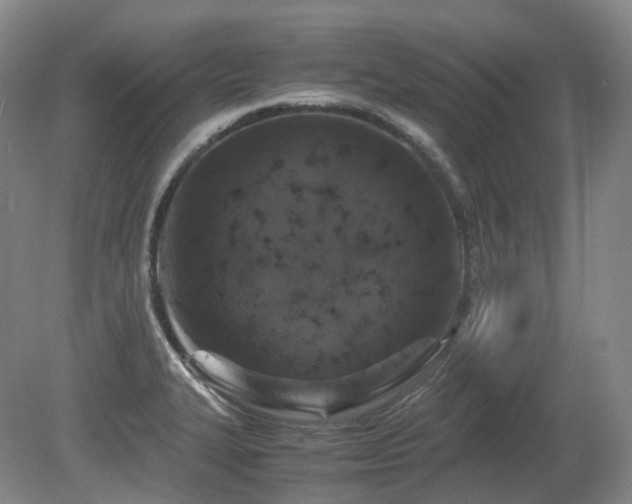 X0000080681327200612151213