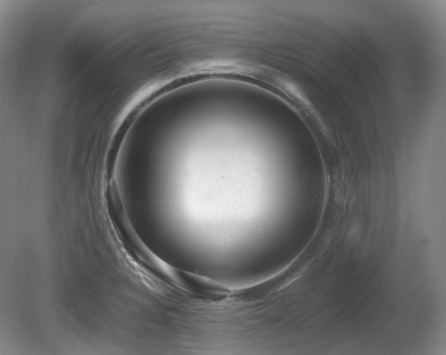 X0000080681328200612151213