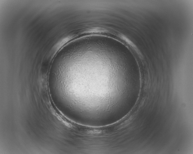 X0000080681329200612151213