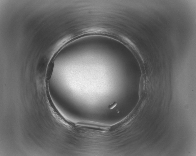 X0000080681330200612151213