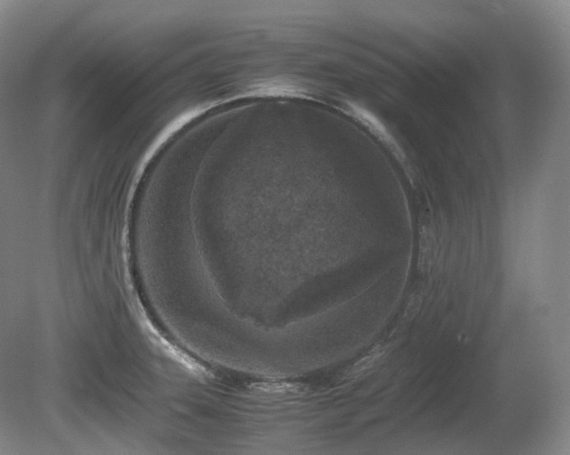 X0000080681331200612151213