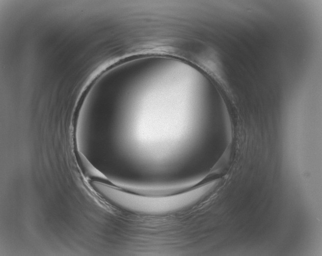 X0000080681332200612151213