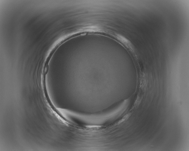 X0000080681334200612151213