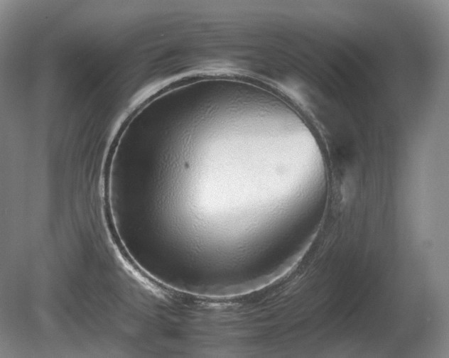 X0000080681335200612151213