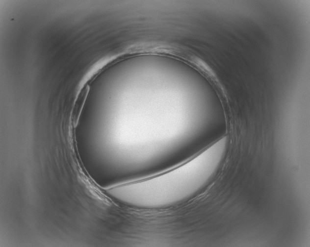 X0000080681336200612151213