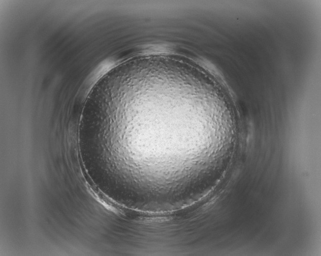 X0000080681337200612151213