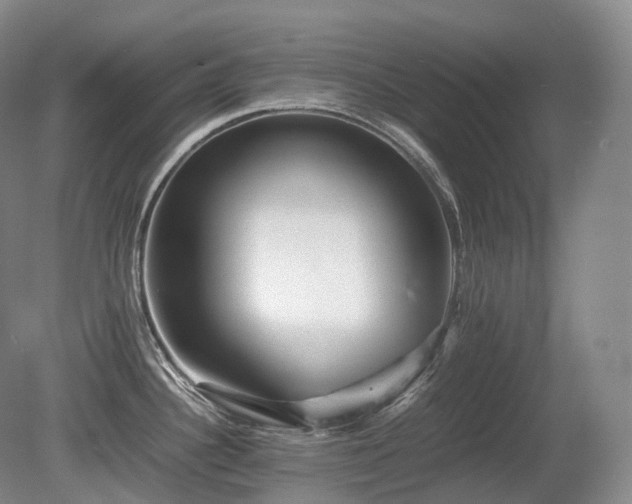 X0000080681340200612151213