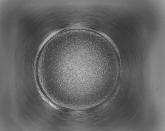 X0000080681341200612151213