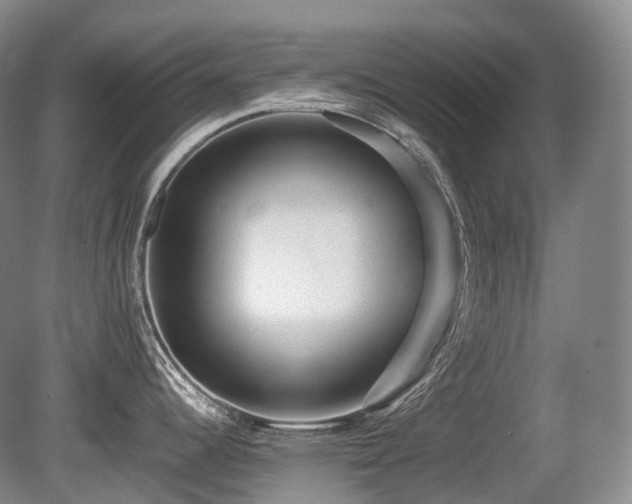X0000080681344200612151213