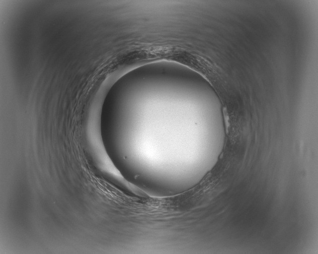 X0000080681345200612151212