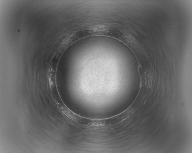 X0000080681346200612151212