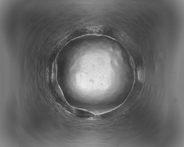 X0000080681347200612151212