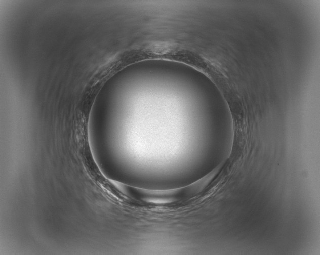 X0000080681349200612151212