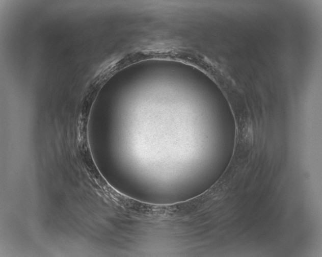 X0000080681350200612151212