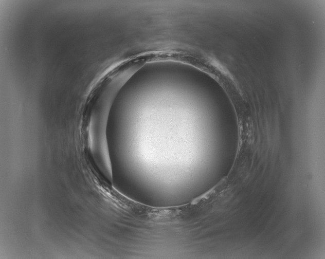 X0000080681352200612151212