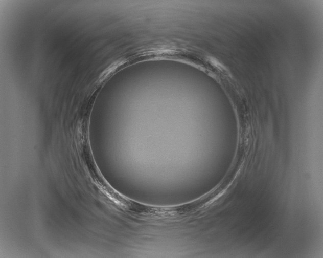 X0000080681353200612151212
