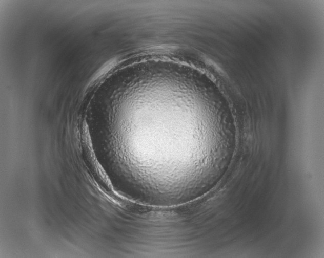 X0000080681354200612151212