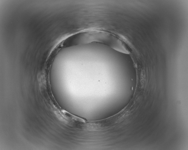 X0000080681356200612151212