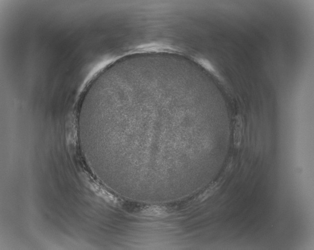 X0000080681358200612151212