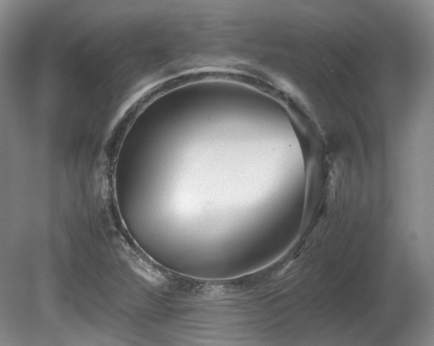 X0000080681360200612151212