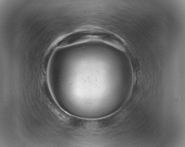 X0000080681363200612151212