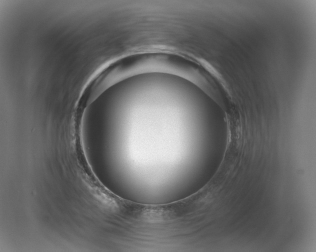 X0000080681364200612151212