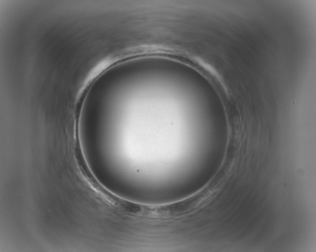 X0000080681365200612151212