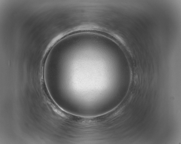 X0000080681366200612151212