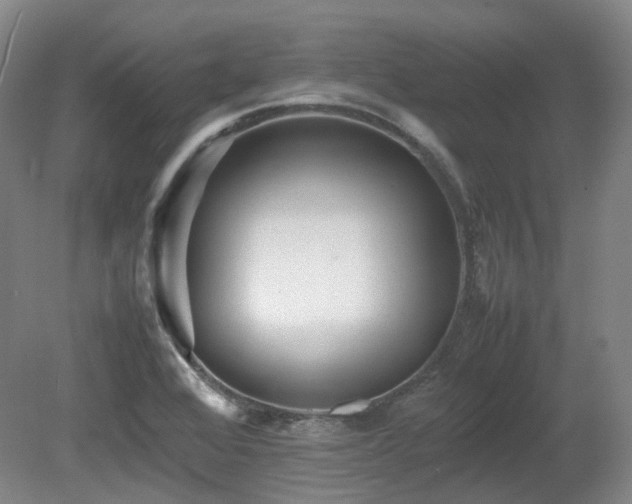 X0000080681368200612151212
