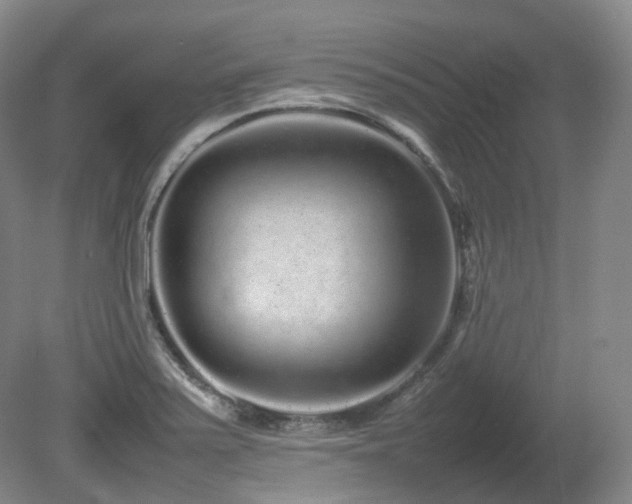 X0000080681371200612151212