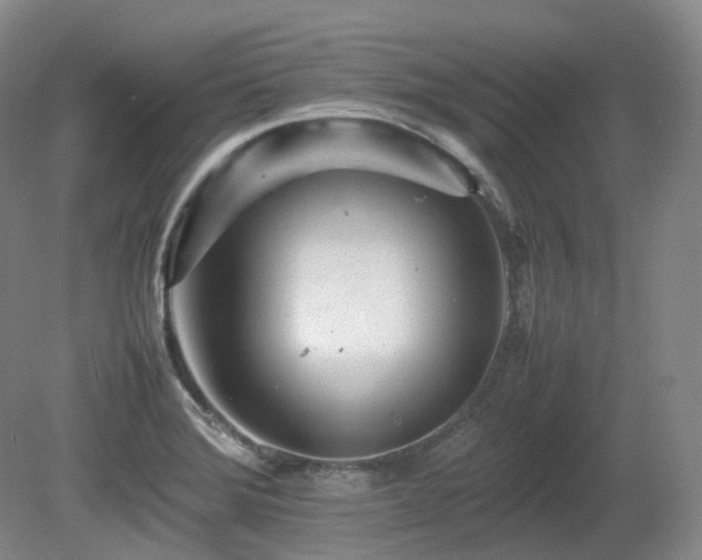 X0000080681372200612151212
