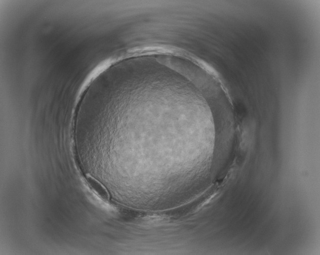 X0000080681373200612151212