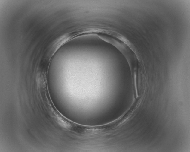 X0000080681377200612151212