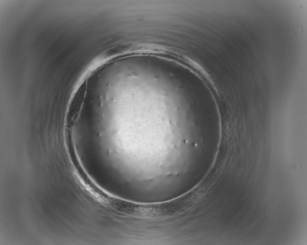 X0000080681379200612151211