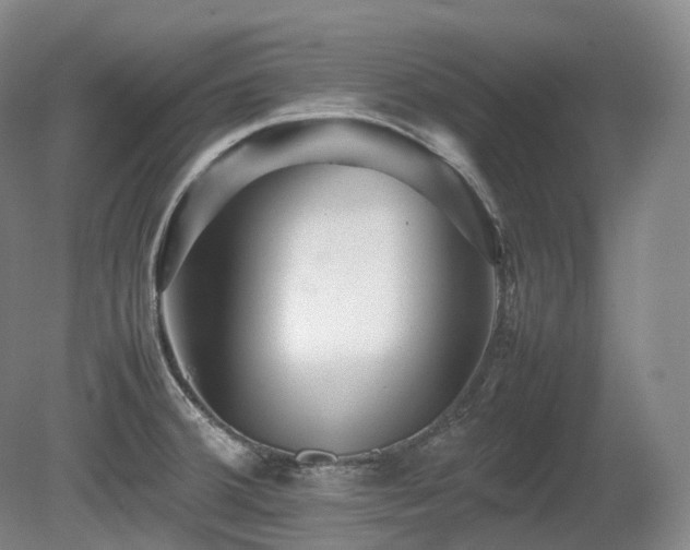 X0000080681380200612151211
