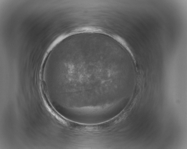 X0000080681381200612151211